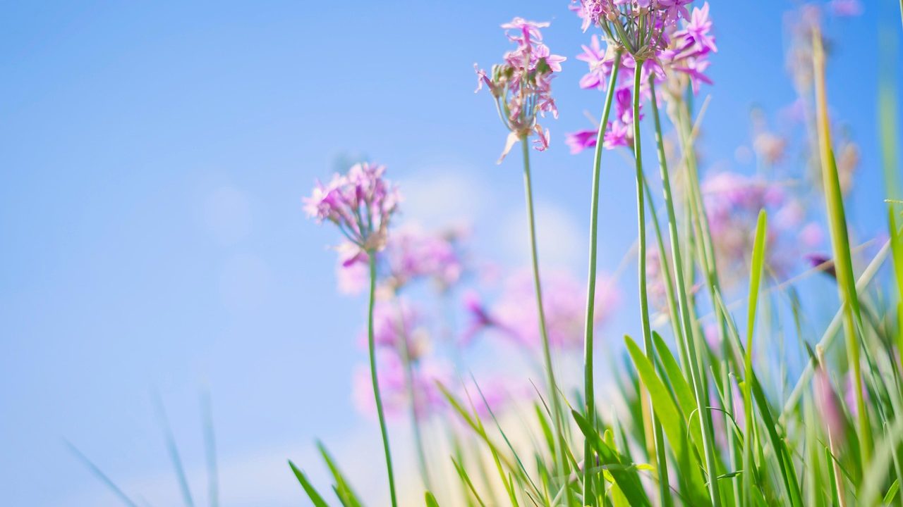 Funerária Arraial do Cabo 24h